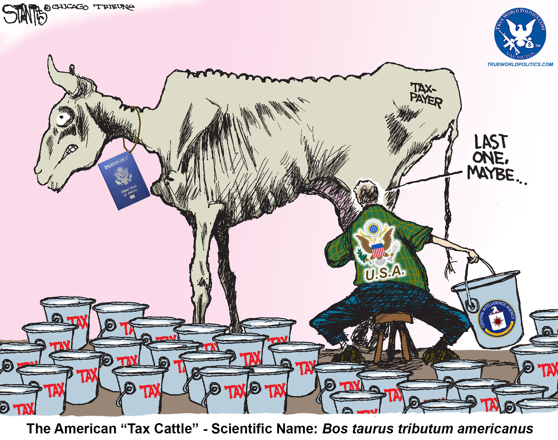 We are all just Tax Cattle - The American Tax Cow